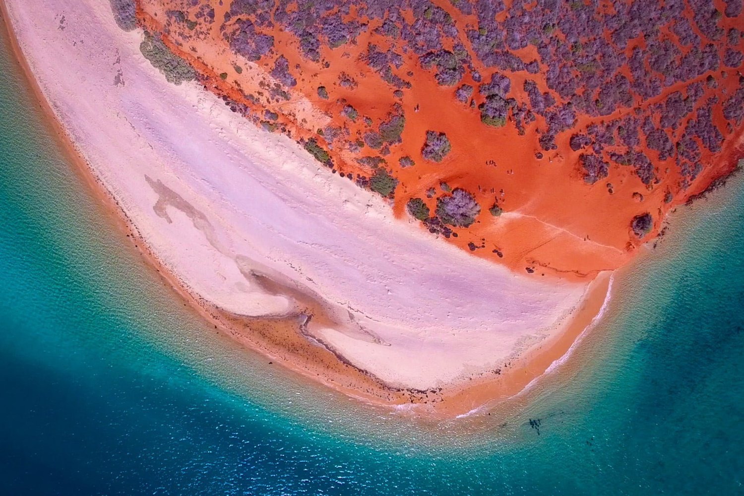 Pilbara & West Coast